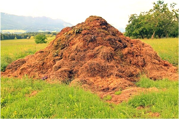 夢到了死而復生依舊被追殺會是什麼預兆_周公解夢官網