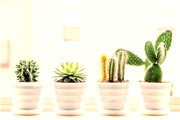 夢見自己吃生大米是怎么回事_周公解夢官網