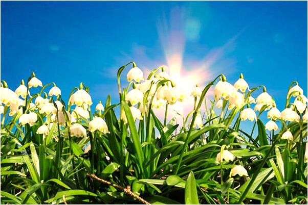 夢到男男床事預示著什麼_周公解夢官網