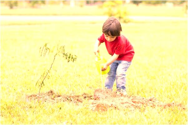 夢到了黑色小魚是什麼預兆_周公解夢官網