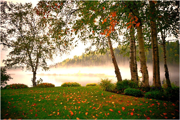 夢到了和朋友跑丟了怎么說_周公解夢官網