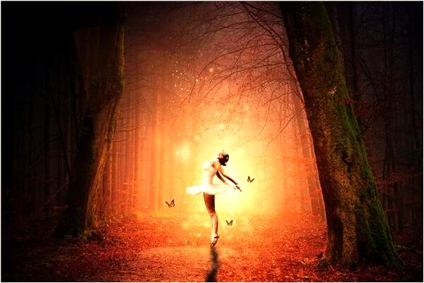 夢到了狗打架並下蛋是什麼啟示_周公解夢官網