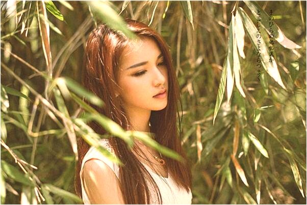 夢到別人偷吃雞肉會是什麼預兆_周公解夢官網