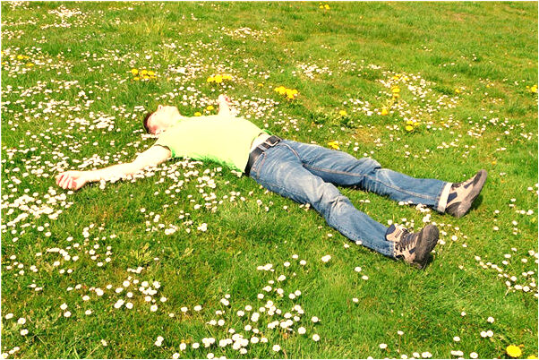 夢到烏龜摔死了是什麼兆頭_周公解夢官網