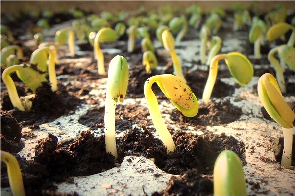 夢到反目成仇的熟人什麼預兆_周公解夢官網