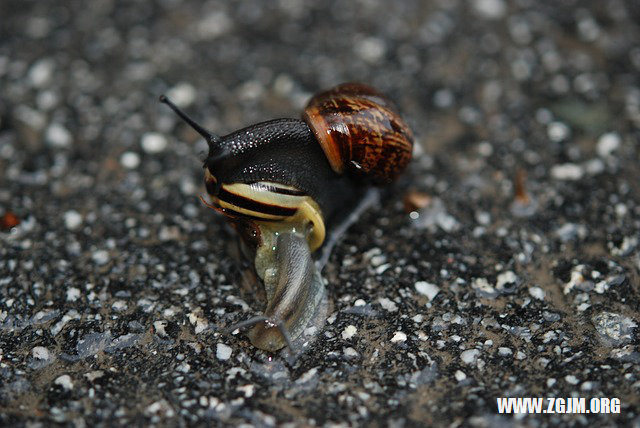 夢見河水漲水_周公解夢夢到河水漲水是什麼意思_做夢夢見河水漲水好不好_周公解夢官網