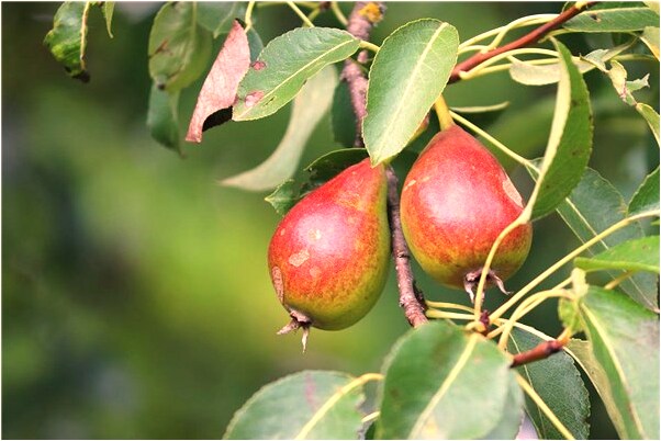 夢到自己和別人打水仗預兆了什麼嗎_周公解夢官網