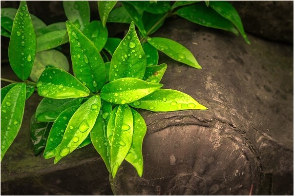 夢到了打針流血有什麼寓意嗎_周公解夢官網