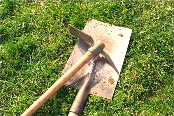 夢到了姐夫來了有什麼徵兆_周公解夢官網