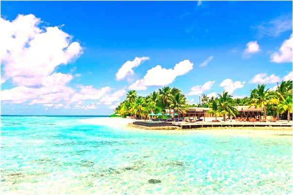 夢見把昆蟲弄死有什麼說法_周公解夢官網