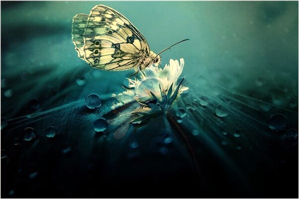 夢到了戲中人在在監獄難產意味著什麼_周公解夢官網