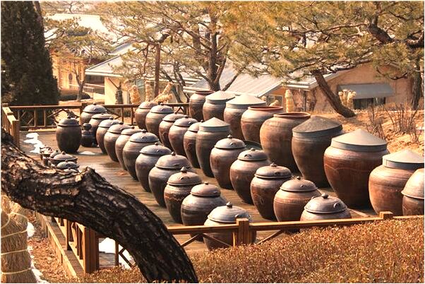 夢見公園游泳水裡有蟒蛇預示著什麼_周公解夢官網