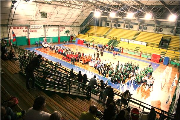 夢見鄰居家的馬跑了是什麼徵兆_周公解夢官網