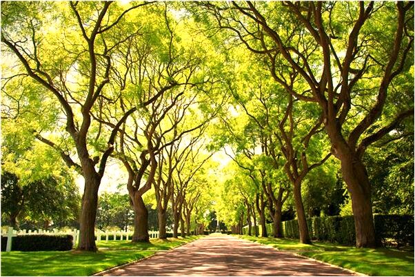 夢到十個手指出血預示著什麼_周公解夢官網