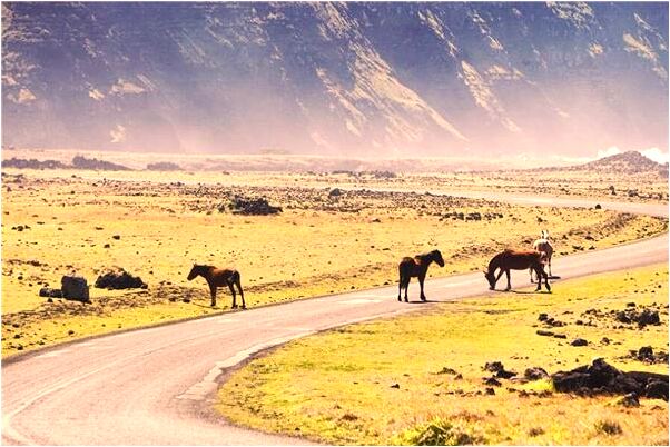 夢見數錢怎么也數不清有什麼預兆_周公解夢官網