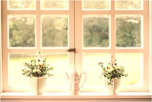 夢到腳上長白毛有什麼說法_周公解夢官網