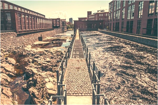 夢到捉到金魚是啥預兆_周公解夢官網