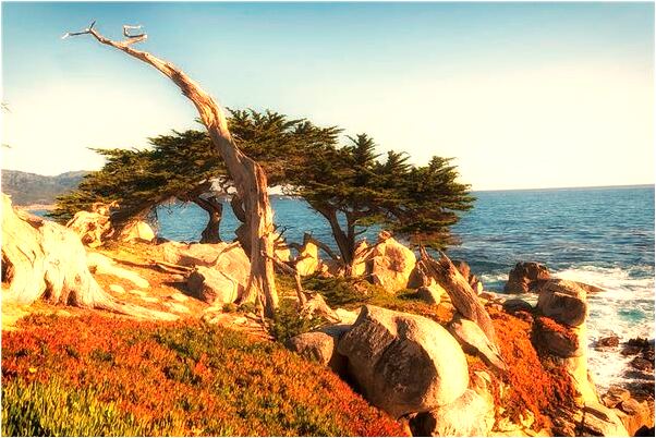 夢見垃圾堆里挖銀耳環有什麼意思_周公解夢官網