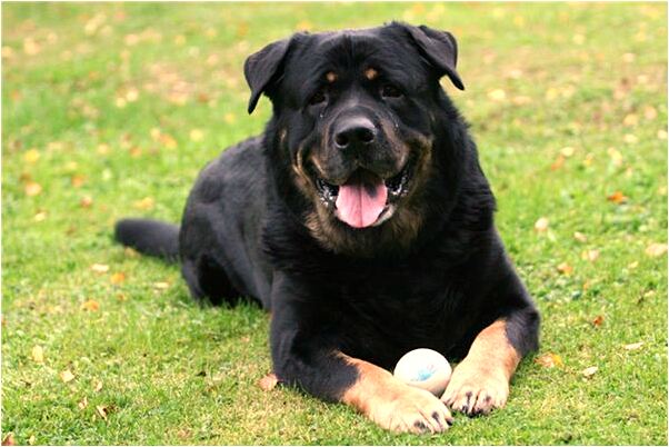 夢到了自己中了大獎是什麼徵兆_周公解夢官網