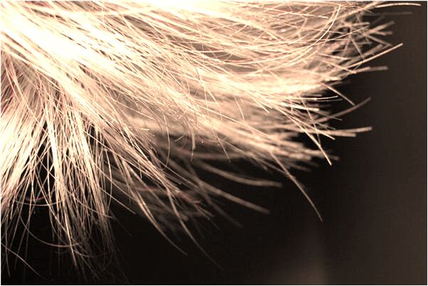 夢到和女生拉手有什麼意思_周公解夢官網