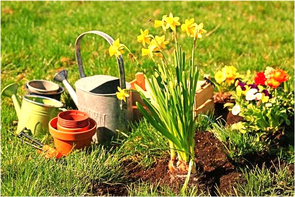 夢到吃蛇夢怎么解有什麼預示嗎_周公解夢官網