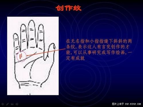 Palm fortune-telling various pattern recognition and the diagram of 2