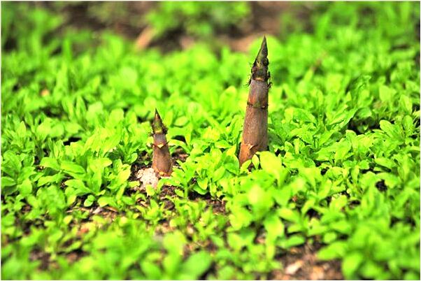 夢見被懸於深潭之上會是什麼預兆_周公解夢官網