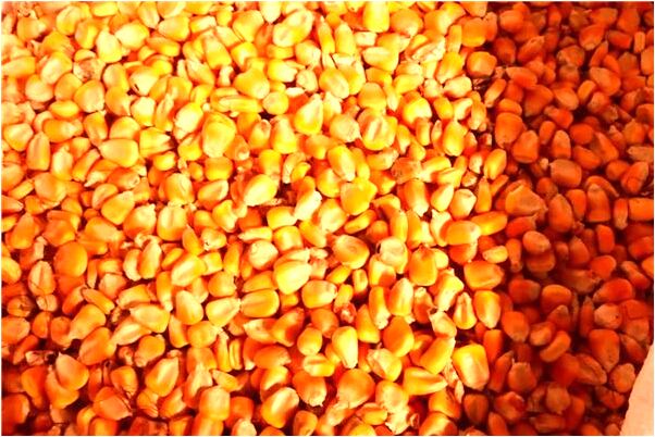 夢到女同學想和我親熱是什麼意思？_周公解夢官網