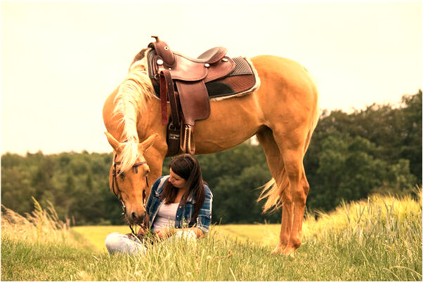 夢到了我哭流淚了預示著什麼_周公解夢官網