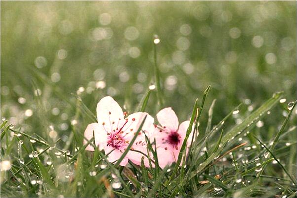 夢見爺爺給我辦嫁妝有什麼寓意嗎？_周公解夢官網