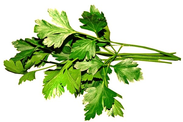 夢到了過世的人請喝飲料是好是壞_周公解夢官網