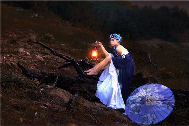 夢到了紫梅豆是什麼兆頭_周公解夢官網