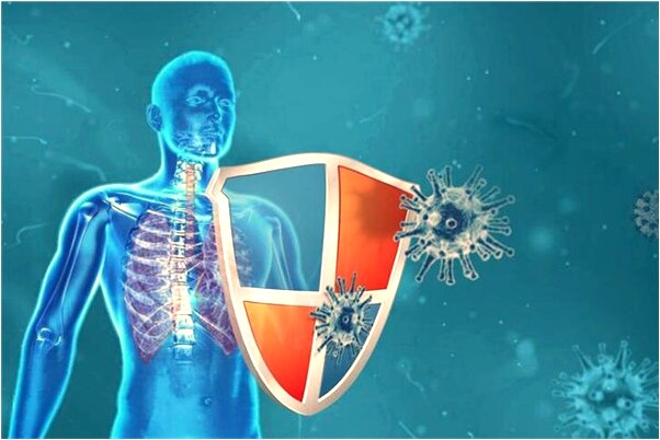 夢到了自己開車和朋友車撞了會有什麼預兆_周公解夢官網