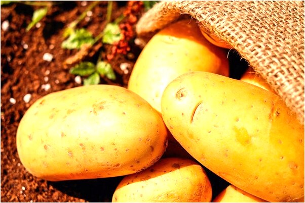 夢到馬嬰兒什麼寓意_周公解夢官網