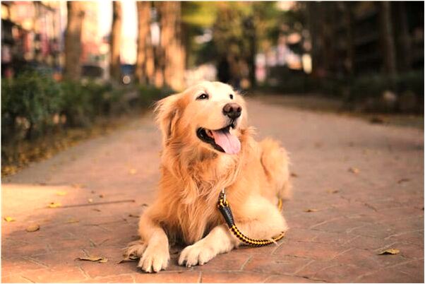 夢到了女人送錢給老公是什麼徵兆_周公解夢官網