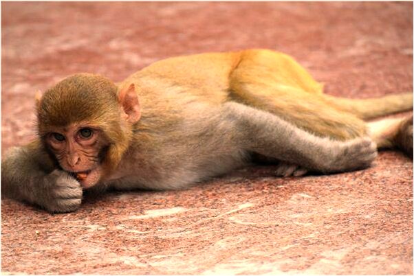 夢見長水泡有什麼意義嗎_周公解夢官網