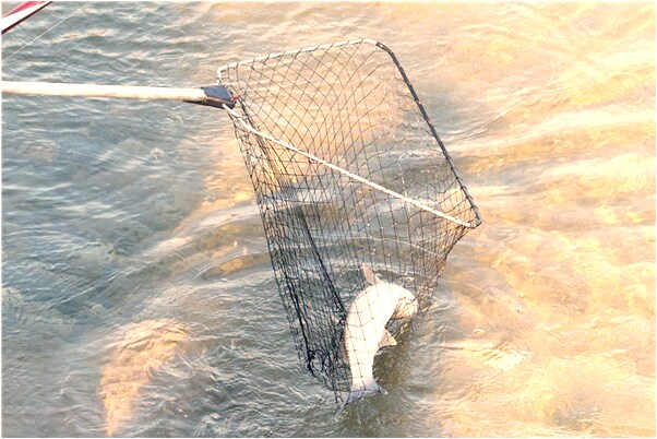 夢到了老房子裡鬧鬼怎么回事_周公解夢官網