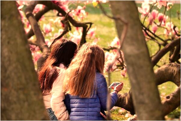 夢到遇害者留下了證據有什麼說法_周公解夢官網