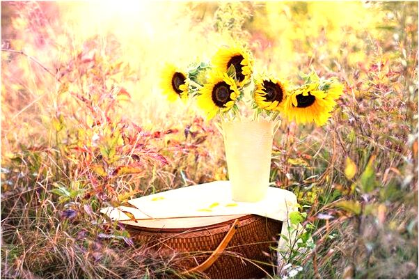 夢到了先父要穿鞋回去是什麼兆頭_周公解夢官網