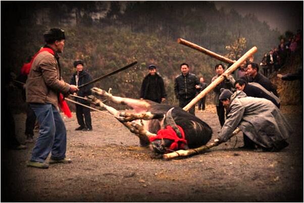 夢到了騎腳踏車下坡剎不住車是啥意思_周公解夢官網