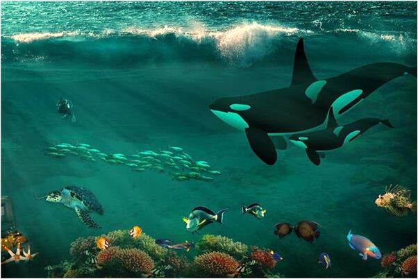 夢到親人沒死就進棺材是咋回事_周公解夢官網