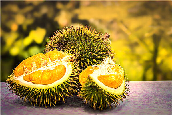 夢到白色布偶意味著什麼_周公解夢官網