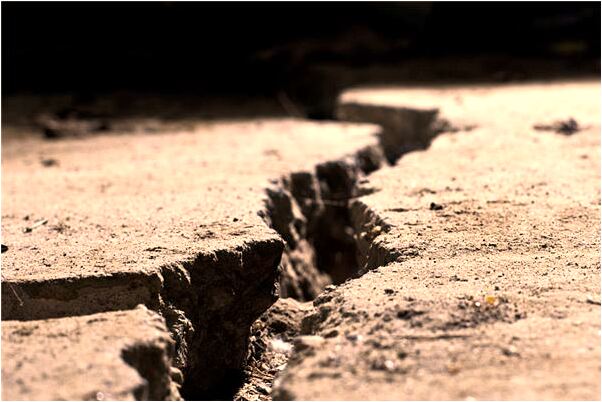 夢到狗被車撞死了有什麼徵兆_周公解夢官網