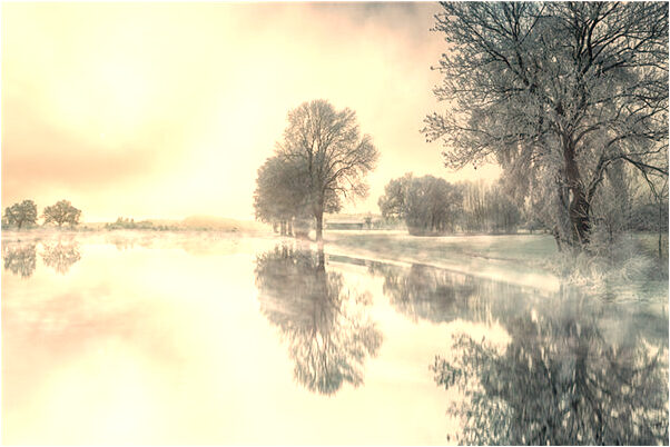 夢到了小狗和小豬是什麼預兆_周公解夢官網