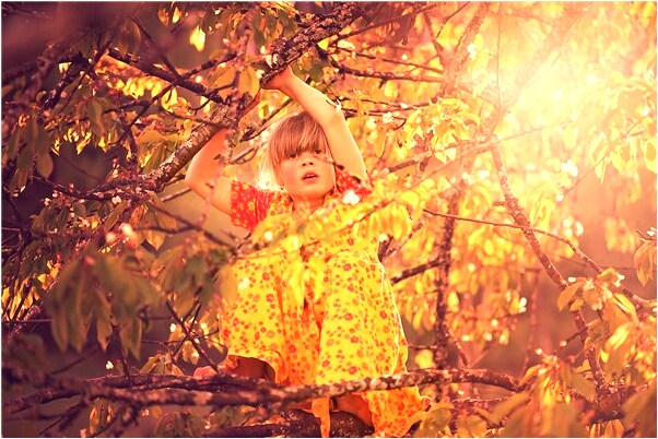 夢到自己和明星是很熟的人會有什麼預兆_周公解夢官網