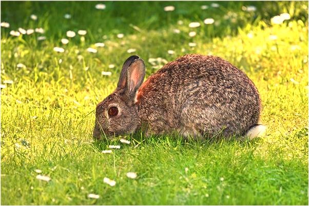 夢到屋裡有很多清澈的水是什麼預兆？_周公解夢官網