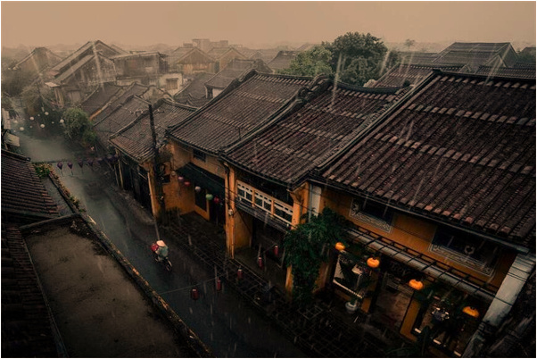 夢見大死魚什麼預兆_周公解夢官網