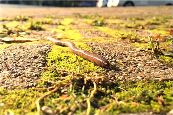 夢見打坐過牢的人是什麼徵兆_周公解夢官網