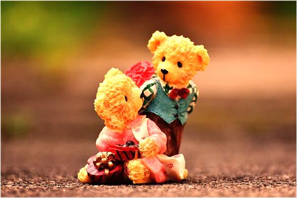 夢到了玉米發芽是啥意思_周公解夢官網