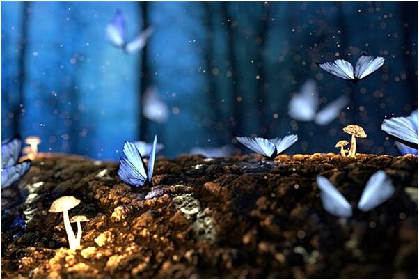 夢到了老婆和其它人好了是啥預兆_周公解夢官網